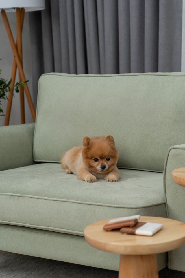 Loveseat - Fitilli - Mikro Kadife - Okaliptüs Yeşili - İskandinav Kol 2026