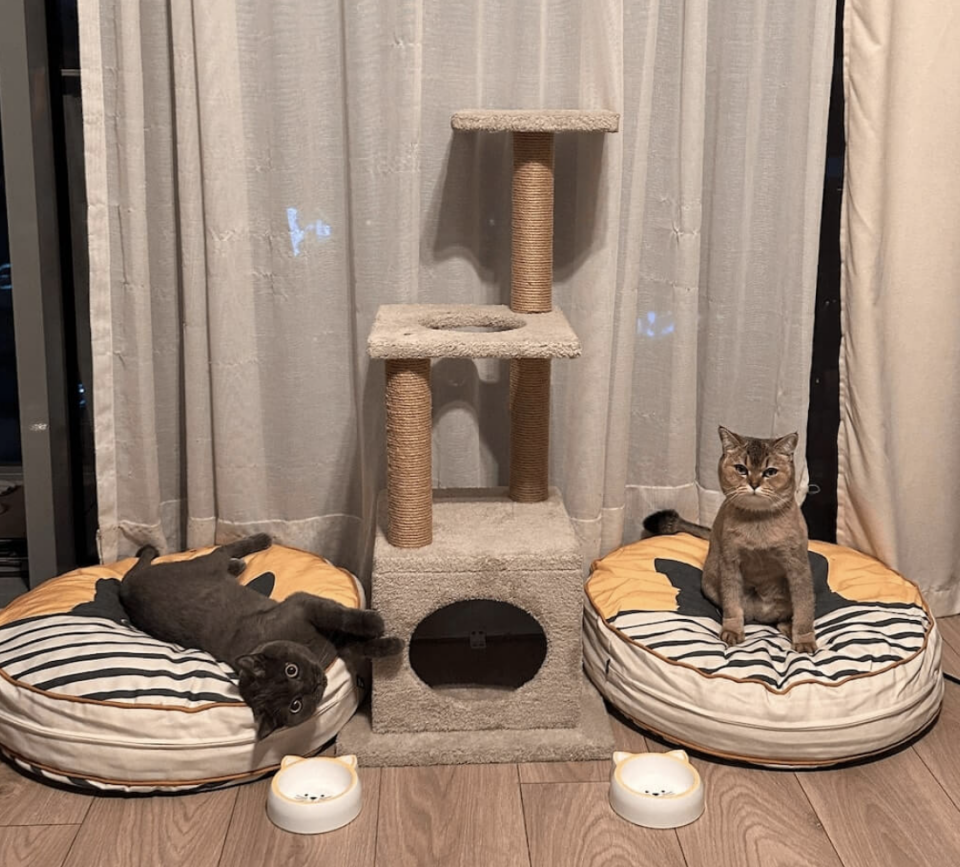 Pet Yatağı - Yuvarlak - Kedi 2026